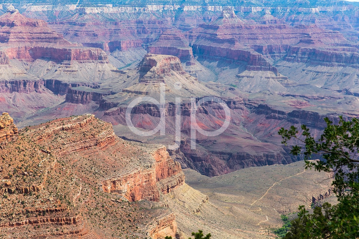 Arizona, Bright Angel Trail, D Jones Photography, Grand Canyon, Hoover Dam, Nevada, Phantom Ranch, South Kaibab Trail, camping, djonesphoto, hiking