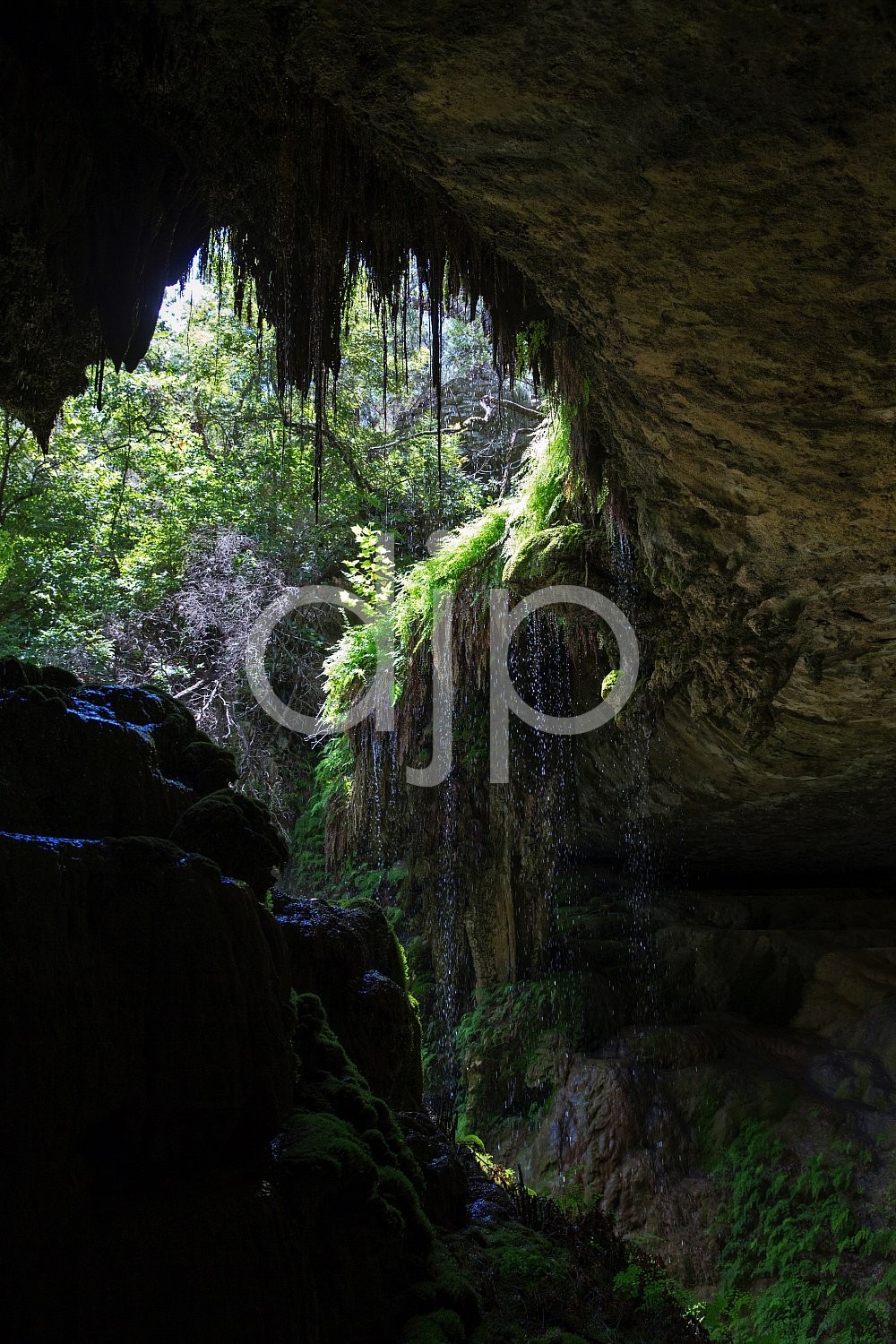 D Jones Photography, West Cave, djonesphoto, green, hiking, texas, waterfall, Central Texas