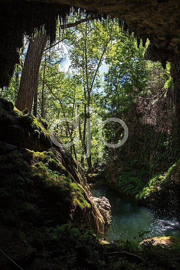 Central Texas, D Jones Photography, West Cave, djonesphoto, green, hiking, texas, waterfall, blue