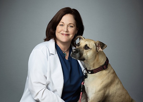 Westbury Animal Hospital 